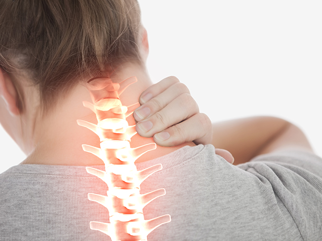 20250708155335_eV3f2ybJ.jpg_carousel_성북구체형교정_성진척추&바디,성북구체형교정,동대문구체형교정,강북구체형교정,종로구체형교정,척추관리,체형관리,통증관리,해독관리,근막마사지,인지운동